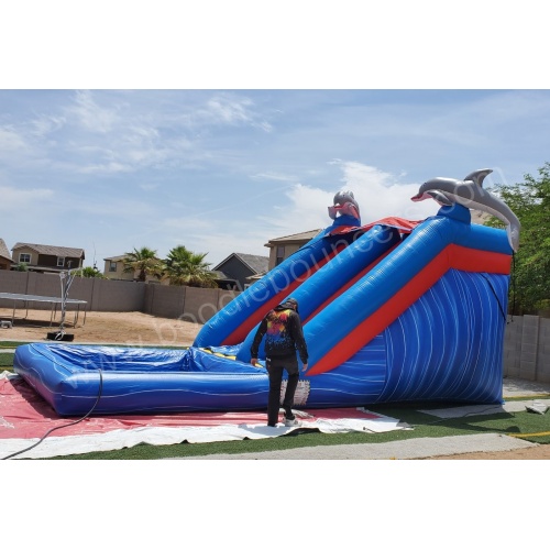 wm-14_foot_dolphin_waterslide_with_pool-03_2134190731